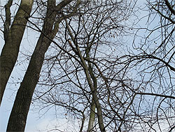 Geocachingkurs