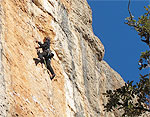 Insa in Montserrat